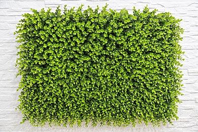 系列编剧辟谣 《最终幻想战略版》暂无复刻版计划